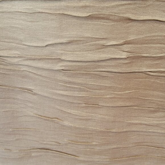 ELIZA J Dress EMBELLISHED RHINESTONES CRUSHED TAFFETA CHAMPAGNE‎ SHEATH Size 4 - Picture 7 of 12